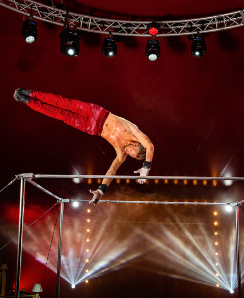 diner_spectacle-un_show_unique-2