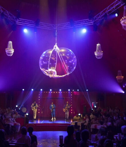 Soirée Cabaret-Cirque3